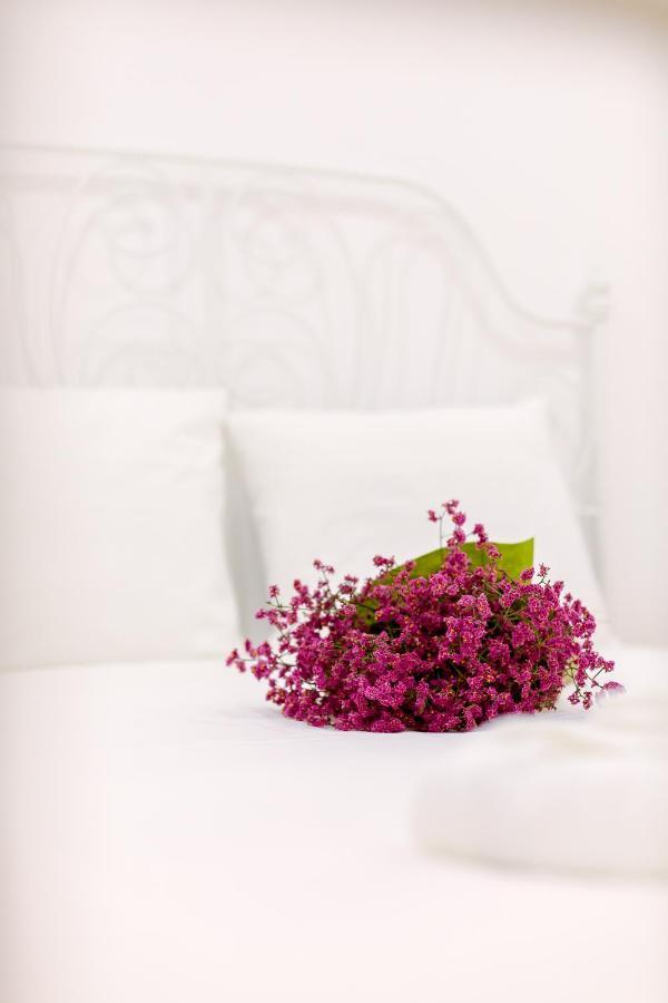 Casa Dos Doutores, A Cozy Apartment In ליסבון מראה חיצוני תמונה